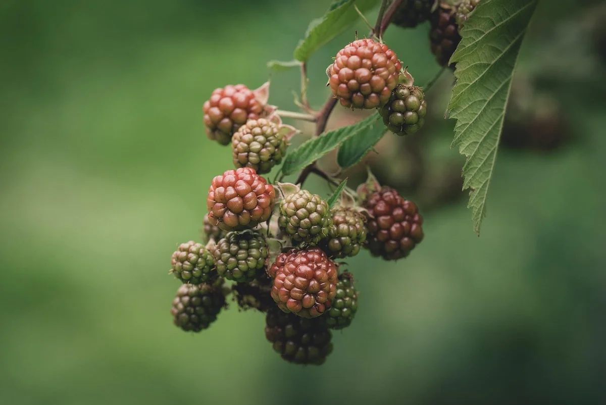 Votre processus de recrutement vous tue à petit feu