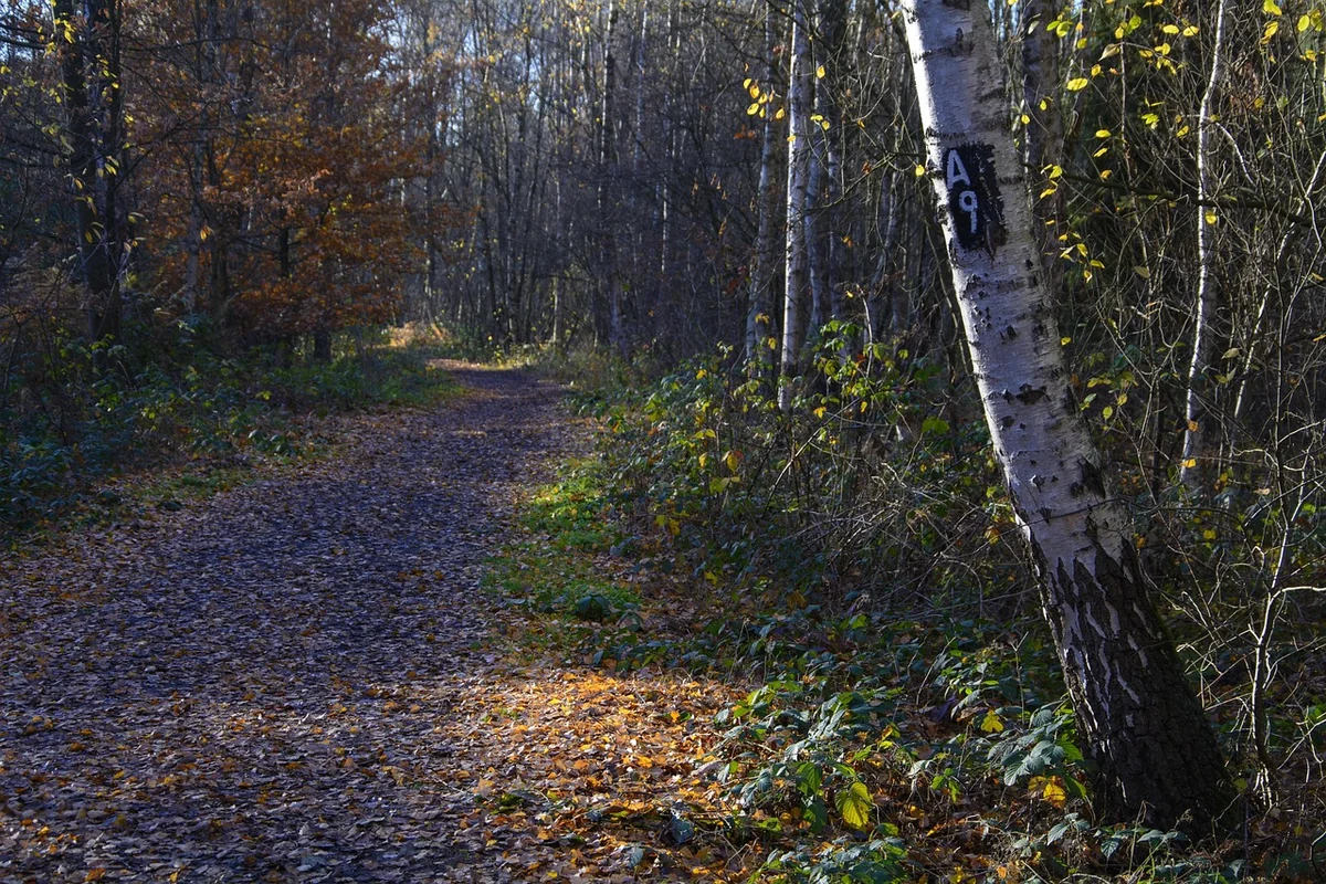 Cybersquattage et usurpation sur les réseaux : comment réagir ?