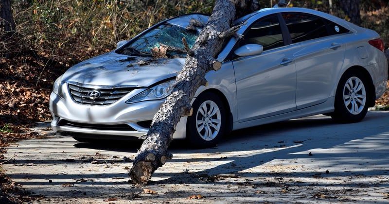 Arrêter assurance auto Macif : la procédure simple et sans frais